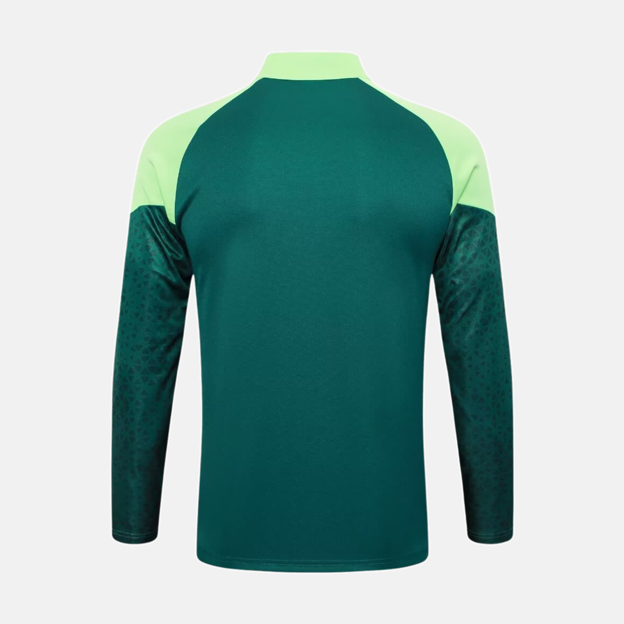 Conjunto de Treino Puma Palmeiras 2024/25 I Masculino
