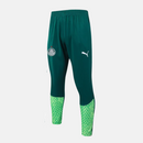 Conjunto de Treino Puma Palmeiras 2024/25 I Masculino