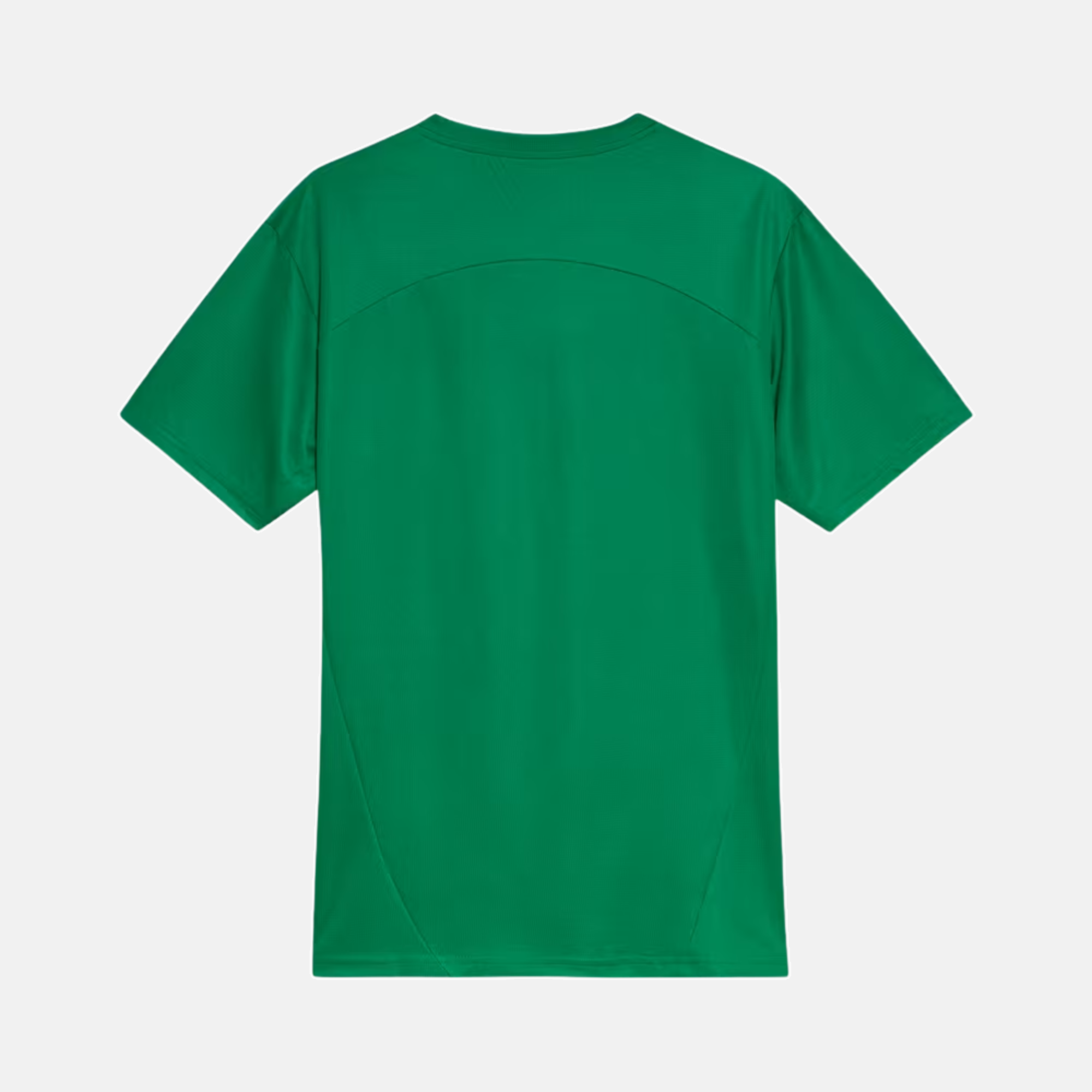 Camisa Palmeiras 2025/26 Treino