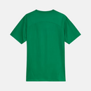 Camisa Palmeiras 2025/26 Treino