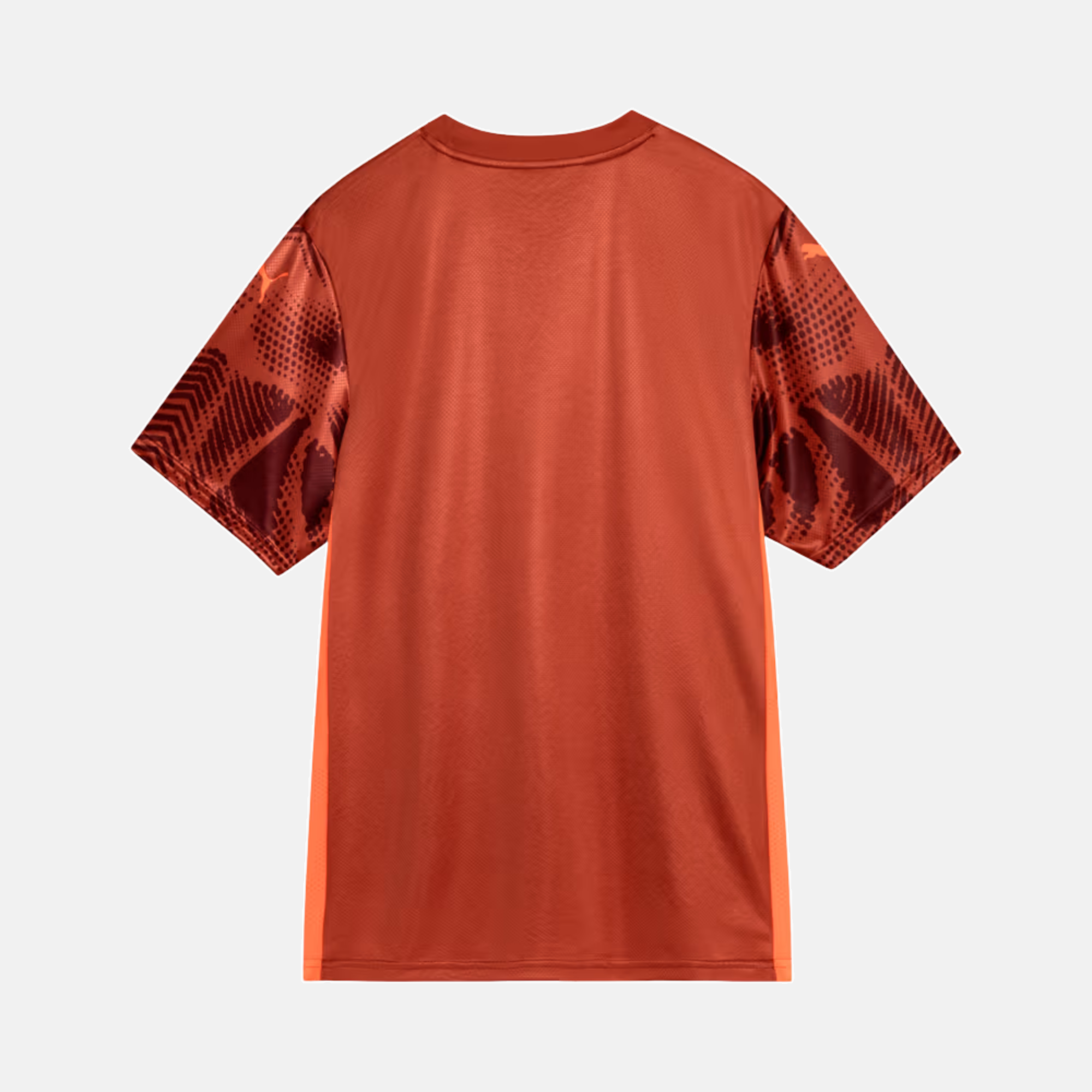 Camisa Puma Palmeiras 2025/26 Goleiro II
