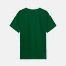 Camisa Puma Palmeiras 2025/26 I - Piquerez N° 22
