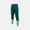 Conjunto de Treino Puma Palmeiras 2024/25 II Masculino