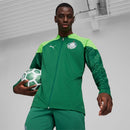 Jaqueta Palmeiras Treino