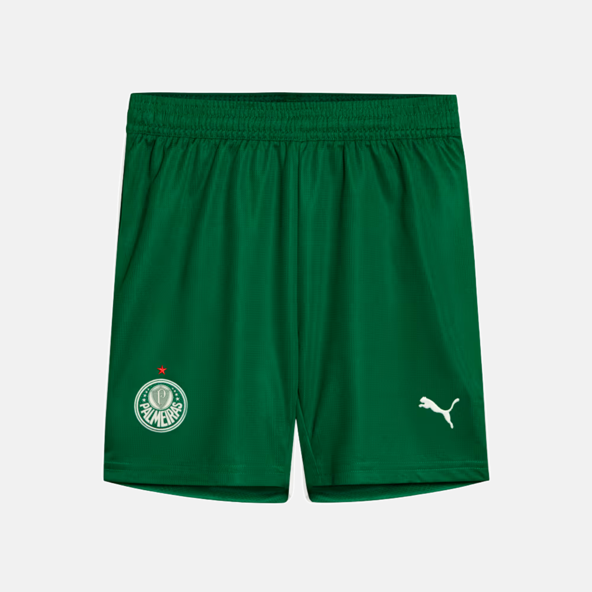 Shorts Palmeiras 2025/26 II