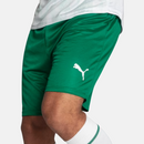 Shorts Palmeiras 2025/26 II