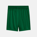 Shorts Palmeiras 2025/26 II